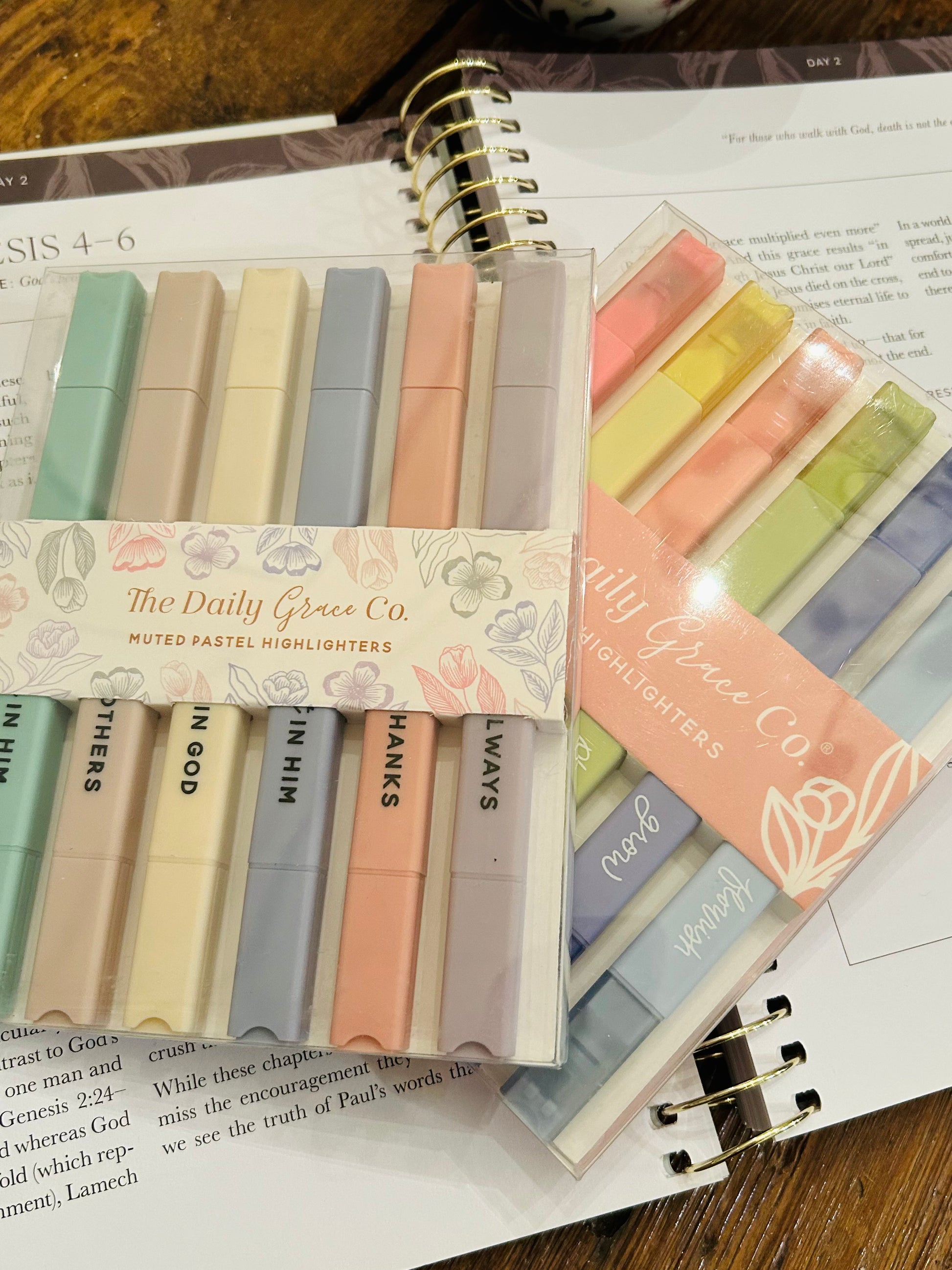 Pastel highlighters from The Daily Grace Co on a book page